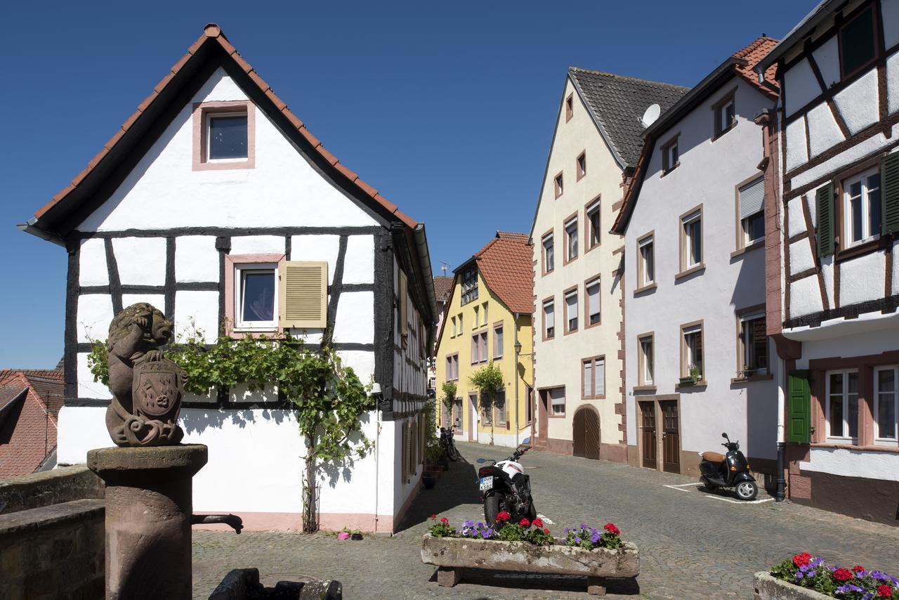 Burggarten Appartements Neuleiningen Zewnętrze zdjęcie