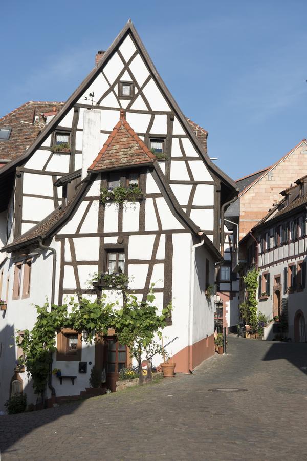 Burggarten Appartements Neuleiningen Zewnętrze zdjęcie