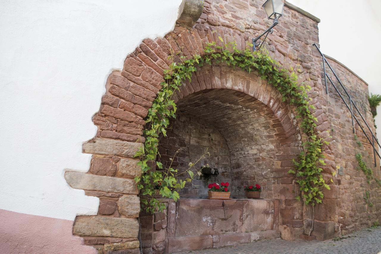 Burggarten Appartements Neuleiningen Zewnętrze zdjęcie