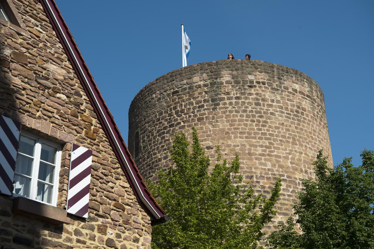 Burggarten Appartements Neuleiningen Zewnętrze zdjęcie