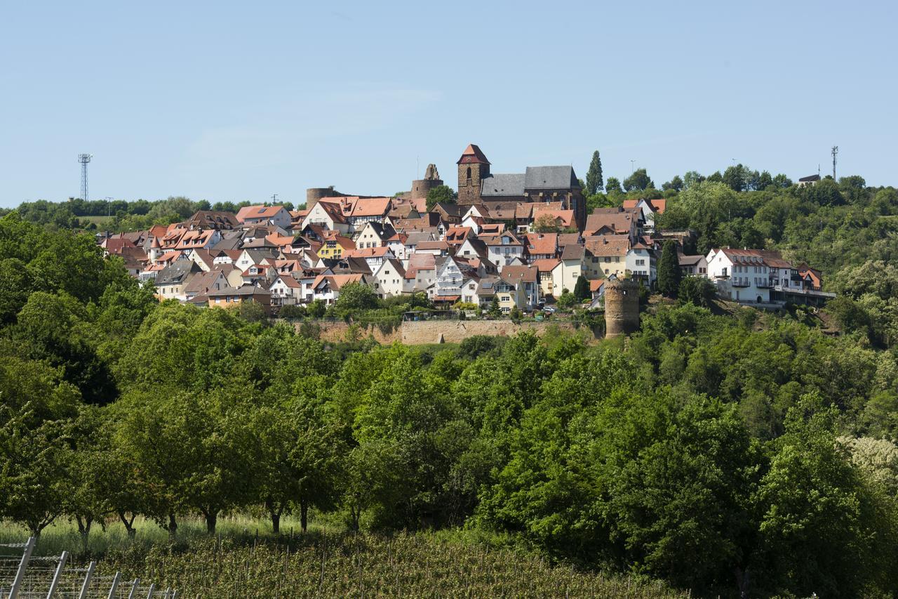 Burggarten Appartements Neuleiningen Zewnętrze zdjęcie