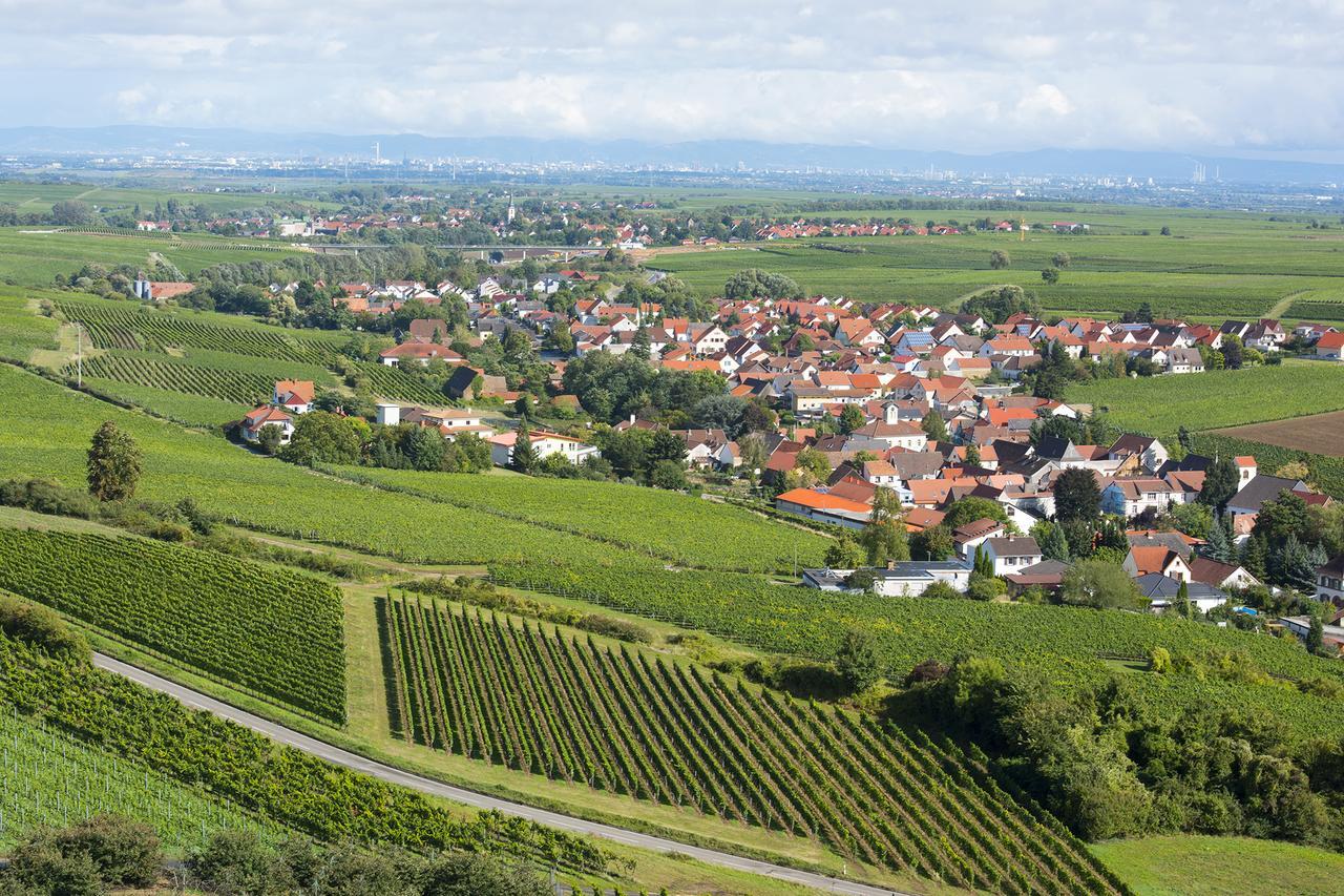 Burggarten Appartements Neuleiningen Zewnętrze zdjęcie